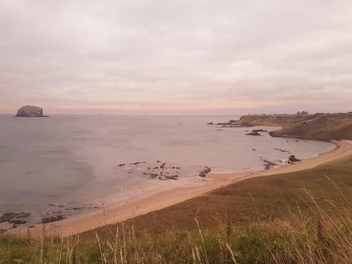 Muted photograph of a shoreline, looking out over the sea