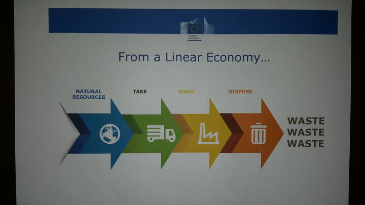 Diagram of a Linear economy